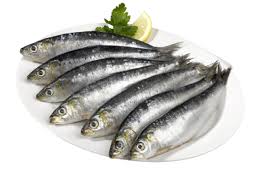 Sardinha Lage